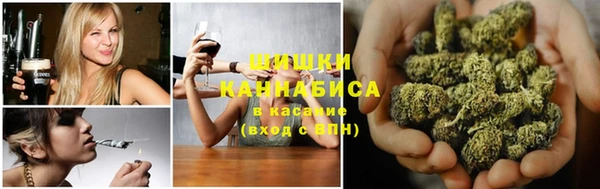 гашик Алексеевка