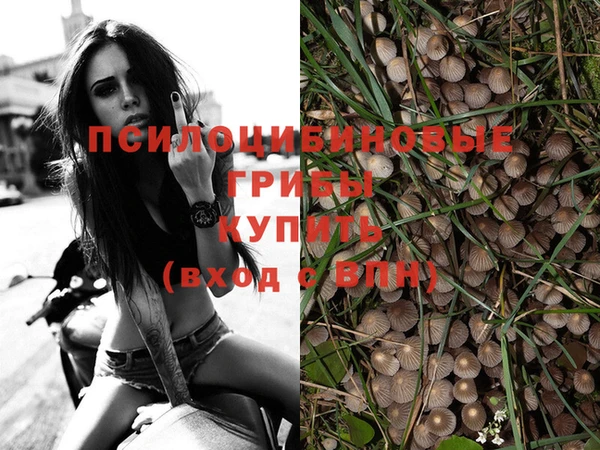 гашик Алексеевка