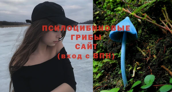 гашик Алексеевка