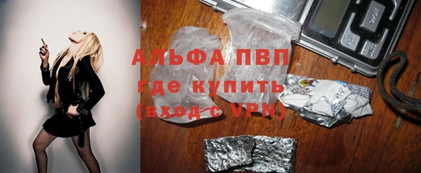 гашик Алексеевка