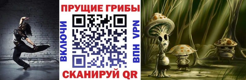 кракен зеркало  Отрадная  Галлюциногенные грибы Magic Shrooms 